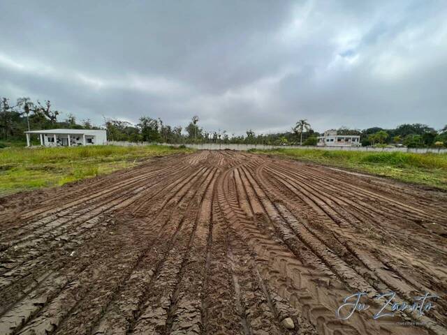 #17 - Terreno para Venda em Matinhos - PR - 3