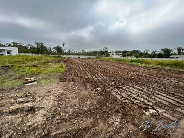 #17 - Terreno para Venda em Matinhos - PR - 2