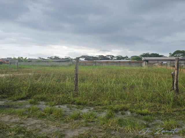 #113 - Terreno para Venda em Matinhos - PR - 2