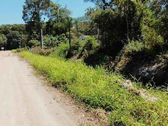 #356 - Terreno para Venda em Itapoá - SC - 1