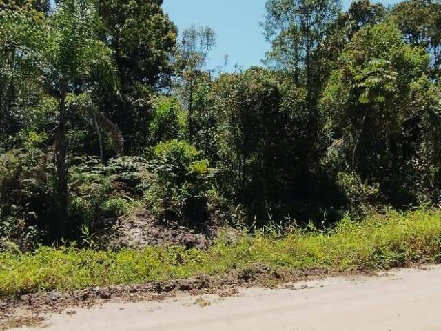 #356 - Terreno para Venda em Itapoá - SC - 3