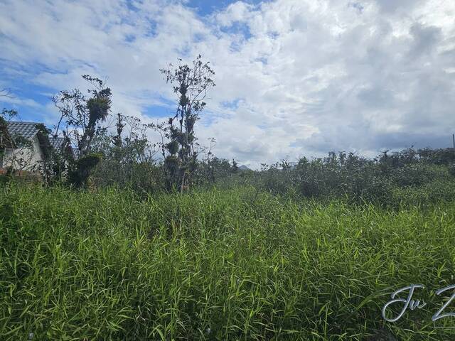 #16 - Terreno para Venda em Matinhos - PR - 1