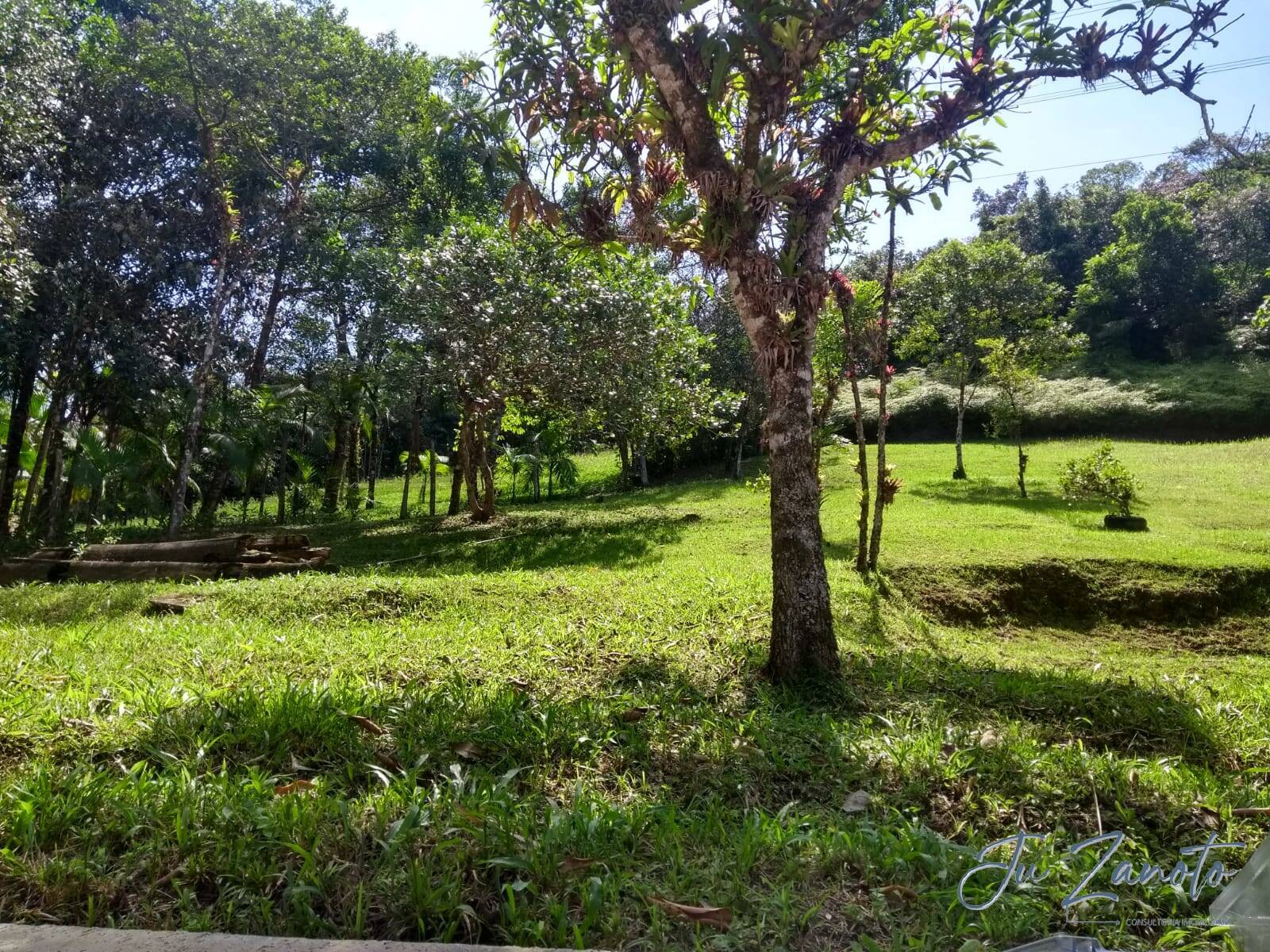 Fazenda à venda com 3 quartos, 100m² - Foto 9